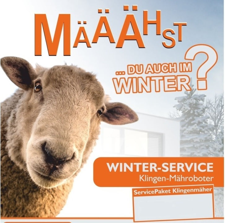 Winter Service Klingenmähroboter inkl. Abbau und Abholung